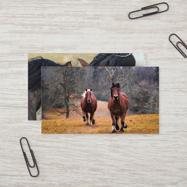 Carte De Visite Mini  Business Cards (Front/Back In Situ)