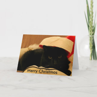 Carte de voeux Sam by Chat'ventures Holiday Card