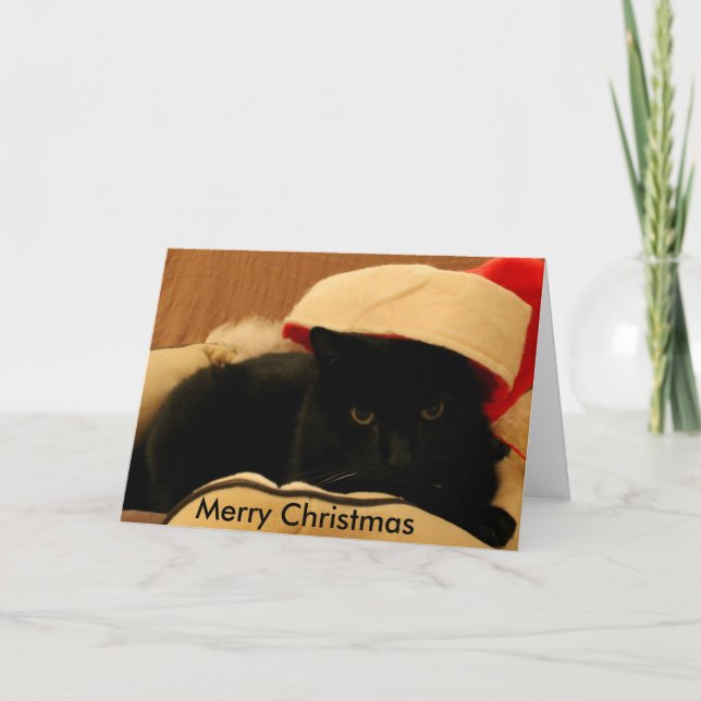 Carte de voeux Sam by Chat'ventures Holiday Card (Front)