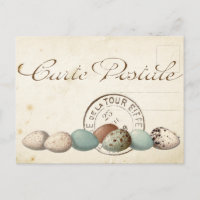 Carte Postale Bird Set 1 of 4 (Postmark Eggs)