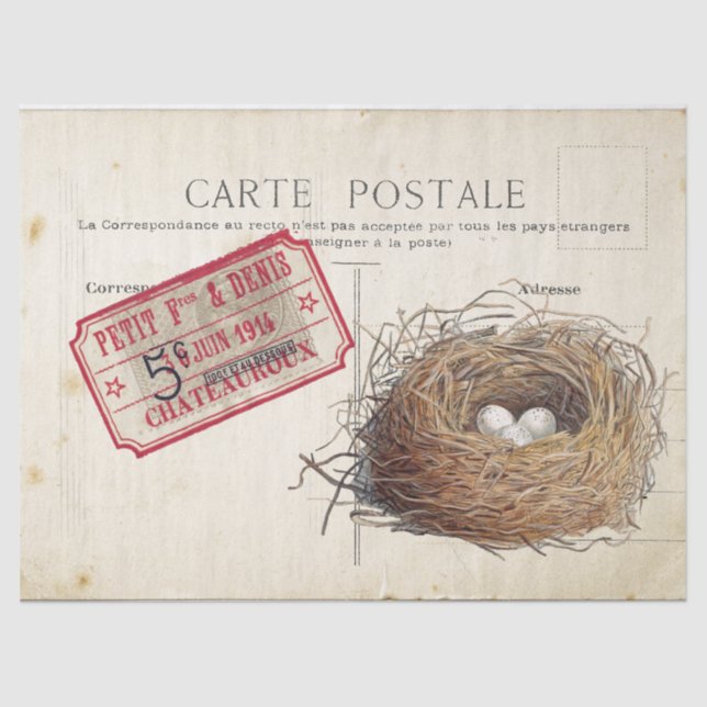 Carte Postale Bird Set 4 of 4 (Bird's Nest Ticket) Tissue Paper (Front)