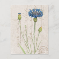 Carte Postale Blue Cornflower French Floral