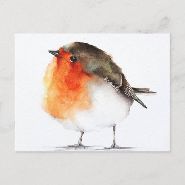 Carte Postale Dessin rouge gorge Postcard (Front)