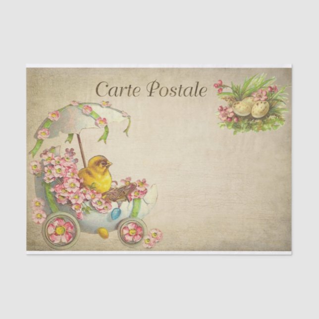 Carte Postale Easter Baby Chick in an Egg Car Tissue Paper (Front)