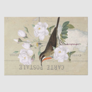 Carte Postale French Bird White Rose Decoupage Tissue Paper