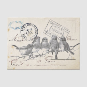 Carte Postale French Songbirds on a Branch Tissue Paper