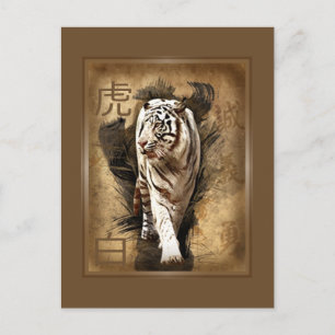 Carte postale tigre blanc postcard