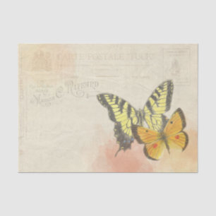 Carte Postale Two Large Yellow Orange Butterflies Tissue Paper