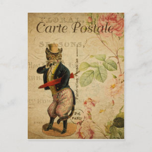 Carte Postale. Vintage Cat. Postcard