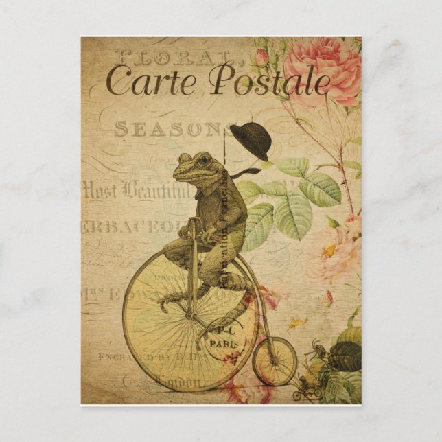 Carte postale vintage  grenouille postcard (Front)