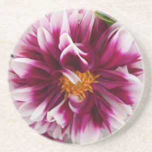 Cartheuserin Coaster