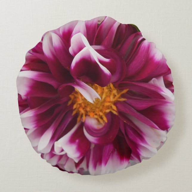 Cartheuserin Round Cushion (Back)