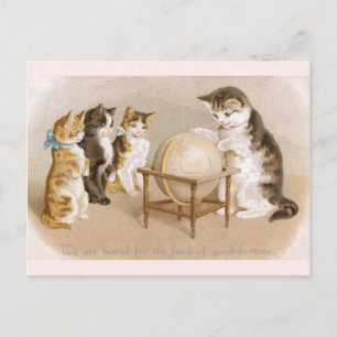 Cartographer Cat and Three Kittens Postcard