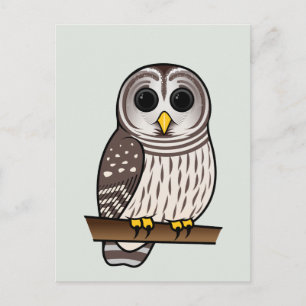 Cartoon Barred Owl Postcard