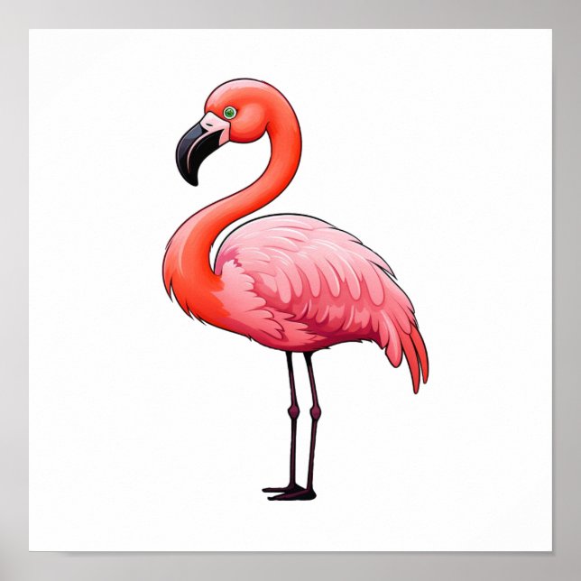 Cartoon bird illustration poster (Front)