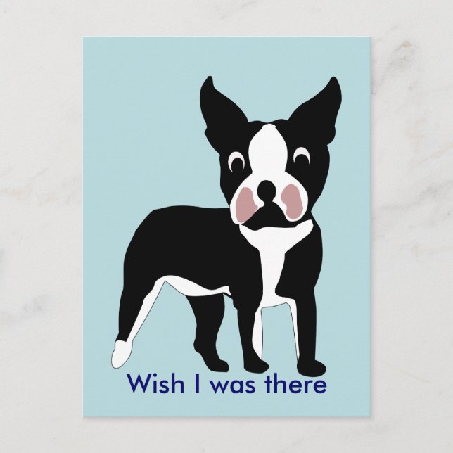 Cartoon Boston Terrier Postcard (Front)