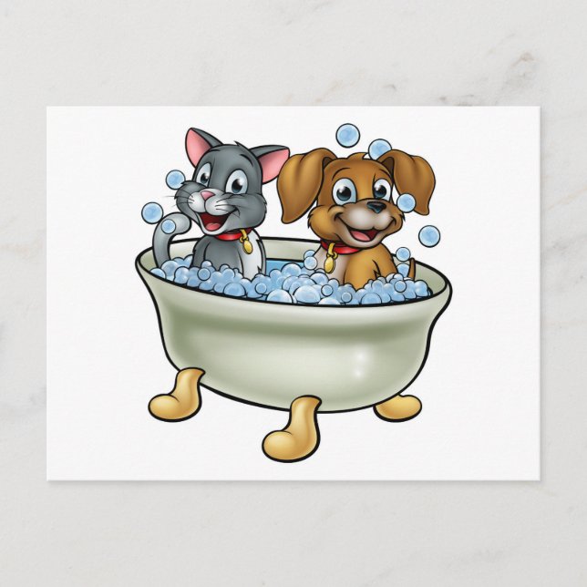 Cartoon Cat and Dog in Bath Postcard (Front)