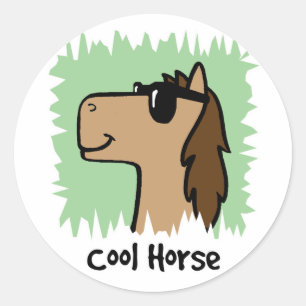 Cartoon Clip Art Cool Horse Wearing Sunglasses Classic Round Sticker