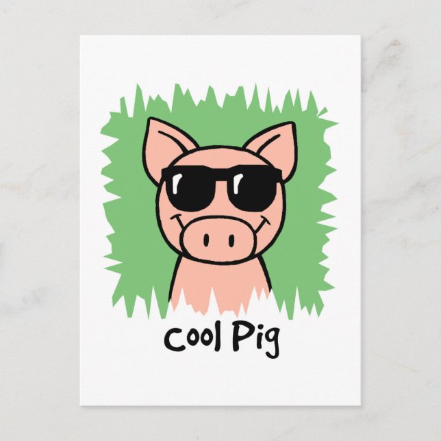 Cartoon Clip Art Cool Pig with Sunglasses Postcard (Front)