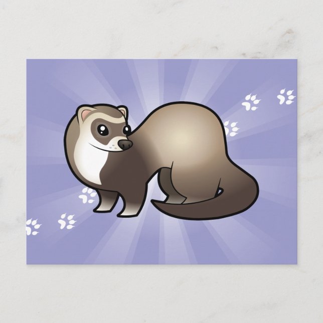 Cartoon Ferret Postcard (Front)