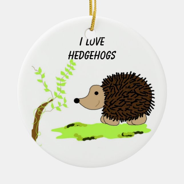 Cartoon Hedgehog Ceramic Tree Decoration (Front)