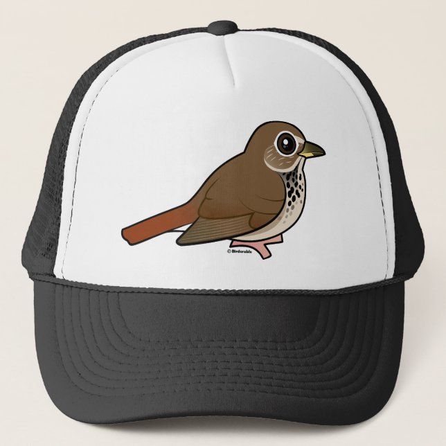Cartoon Hermit Thrush Trucker Hat (Front)