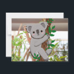 Cartoon Koala Postcard | C's Dream Design<br><div class="desc">This lovable koala design was created using my original photo taken in the wilds of Australia. A perfect blend of art and nature!

Photography l   Designed  l  Published by Wing@C's Dream Design</div>