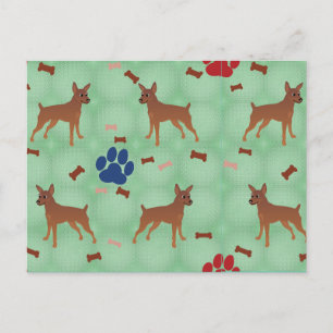 Cartoon Miniature Pinscher Postcard
