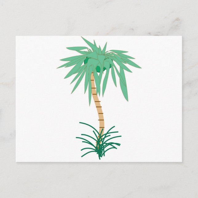 Cartoon Palm Tree Postcard (Front)
