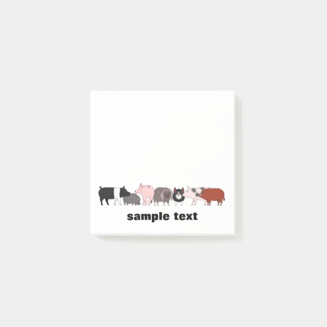 cartoon pig group post it post-it notes (Front)