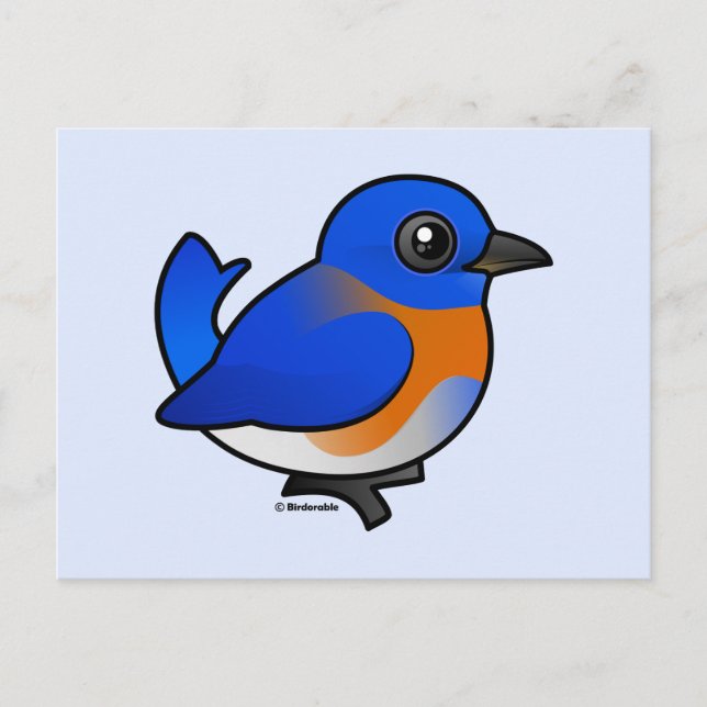 Cartoon Western Bluebird Postcard (Front)