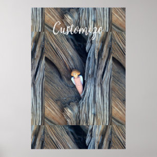 Carved angel in tree Thunder Cove Poster