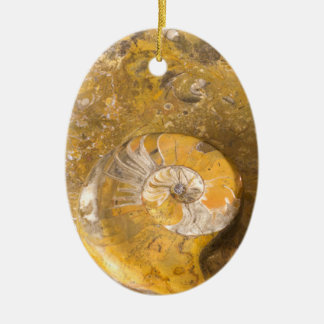 Carved Bowl Made of Fossils in Rock Closeup Photo Ceramic Tree Decoration