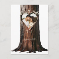 Carved Heart Tree Stump Rustic Save the Date Photo