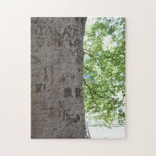 Carved in a Tree Central Park Nature Photography Jigsaw Puzzle