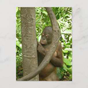 Carving My Name in a Tree Postcard