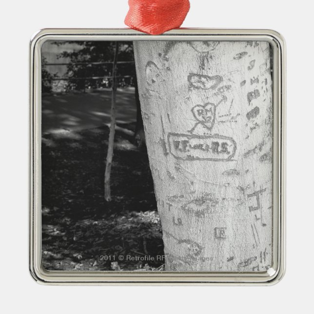 Carving on birch tree trunk B&W Metal Tree Decoration (Front)