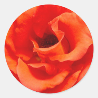 Cary Grant Classic Round Sticker