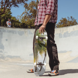 Cas Abao - Tropical Beach Escape #4 #ocean #wall Skateboard