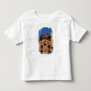 Casa Batilo, Gaudi Architecture, Barcelona, Toddler T-Shirt