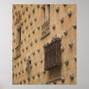 Casa de las Conchas, House of Shells Poster