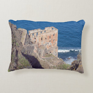 Casa Hamilton Decorative Cushion