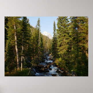 Cascade Creek at Grand Teton Poster