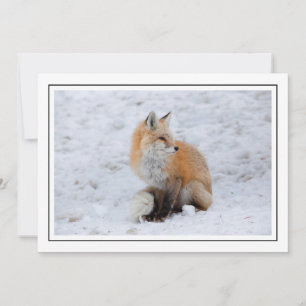 Cascade Fox in Snow Holiday Card