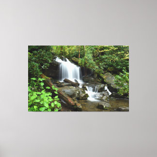 Cascade in Smoky Mountain National Park Canvas Print