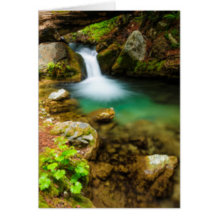 Cascade on Hare Creek, California