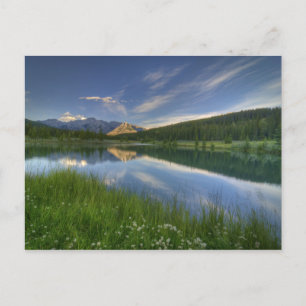 Cascade Ponds Postcard