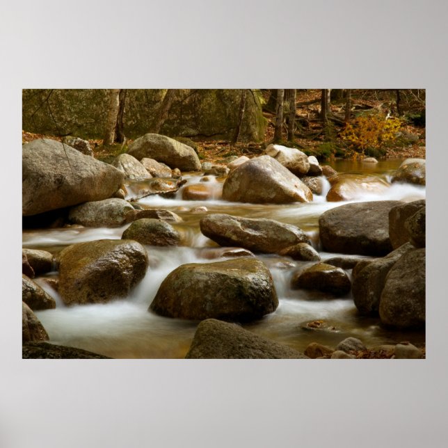 Cascade  Print (Front)