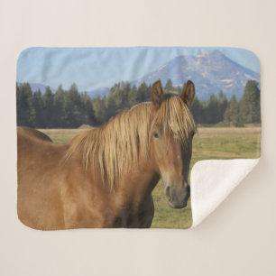 Cascade Range   Chestnut Horse Sherpa Blanket