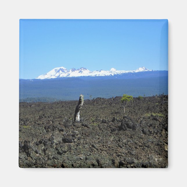 Cascades and Lava Rocks, Oregon Magnet (Front)
